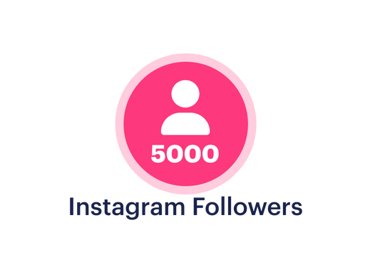 5000 High Quality Instagram Followers from Global Country finished in 24 Hours